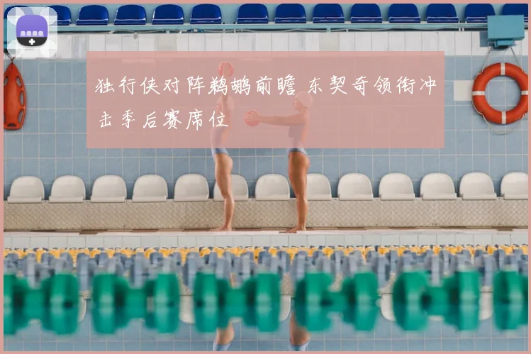 独行侠对阵鹈鹕前瞻 东契奇领衔冲击季后赛席位