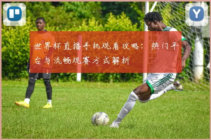世界杯直播手机观看攻略：热门平台与流畅观赛方式解析